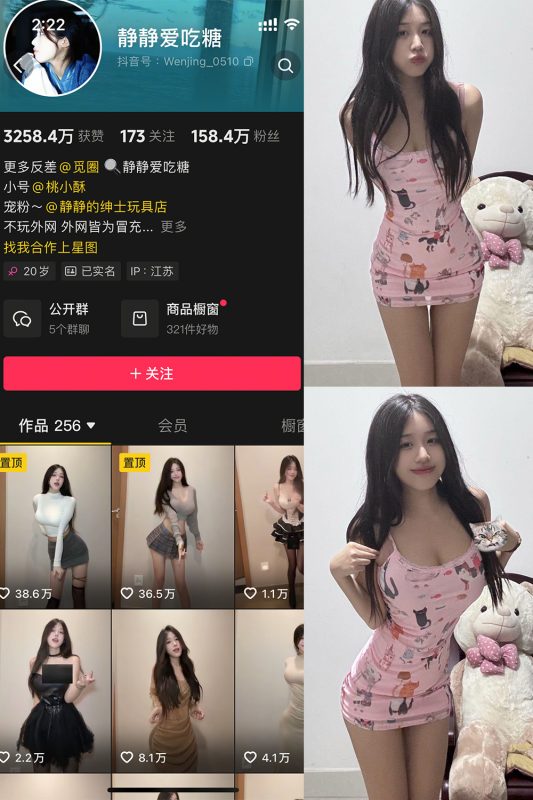 抖音 静静爱吃糖 微密圈 NO.002期 【12P5V】-cos领域