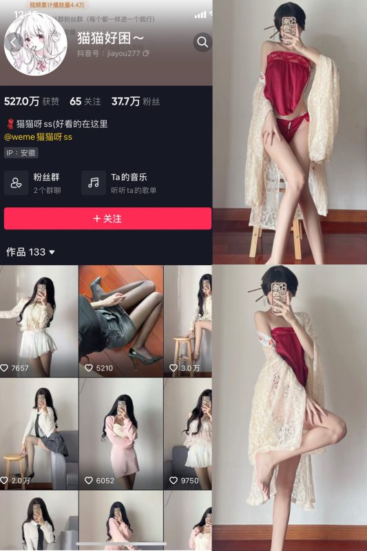 抖音 猫猫好困 微密圈 NO.012期 【9P】-cos领域