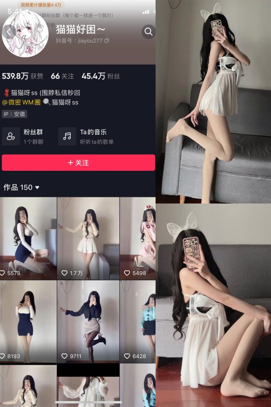 抖音 猫猫好困 微密圈 NO.018期 【22P】-cos领域