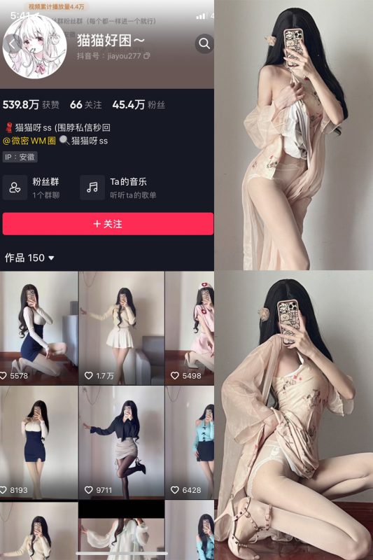 抖音 猫猫好困 微密圈 NO.026期 【9P】-cos领域