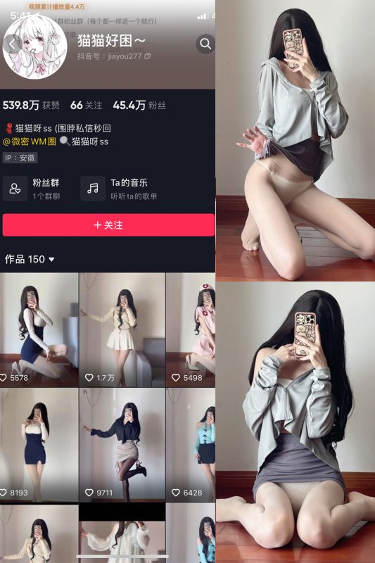 抖音 猫猫好困 微密圈 NO.034期 【23P】-cos领域