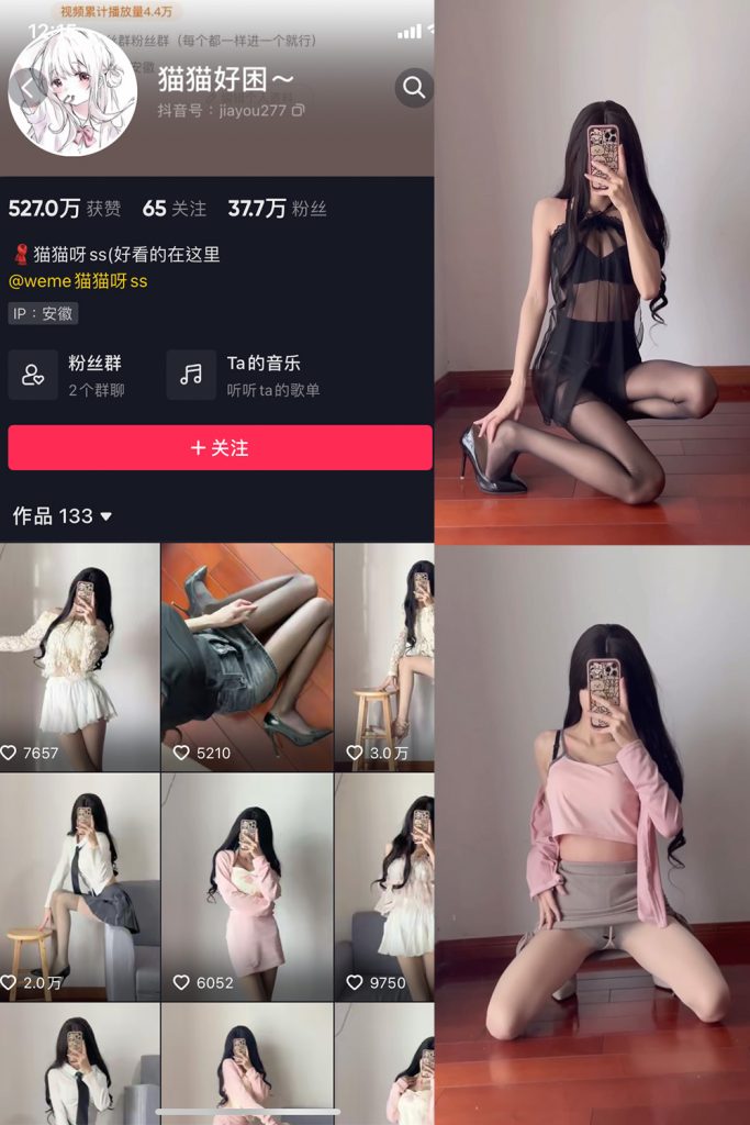 抖音 猫猫好困 微密圈 NO.009期 【12V】-cos领域