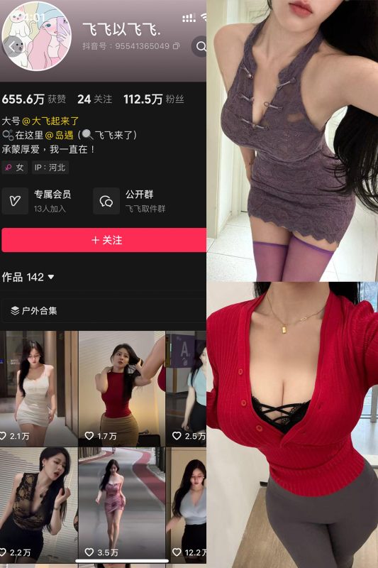 抖音 飞飞以飞飞 岛遇 NO.001期 【21P1V-cos领域