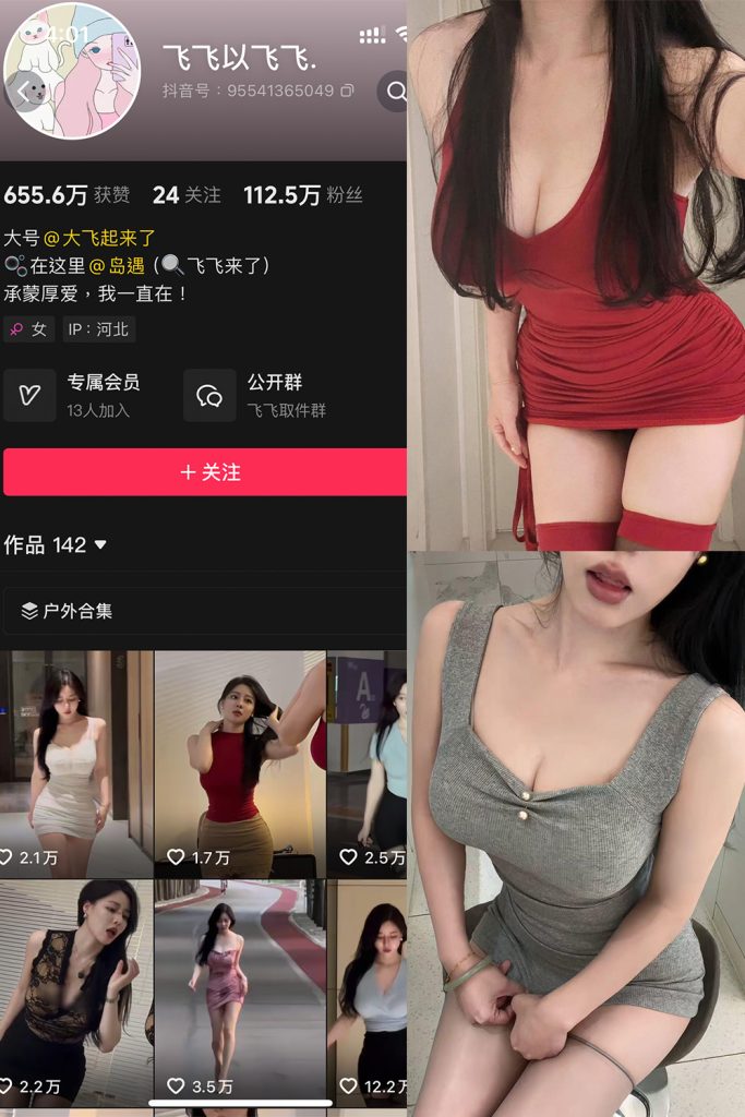 抖音 飞飞以飞飞 岛遇 NO.002期 【20P5V】-cos领域