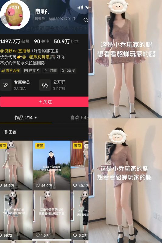 抖音 良野 岛遇 NO.001期 【4P6V】-cos领域