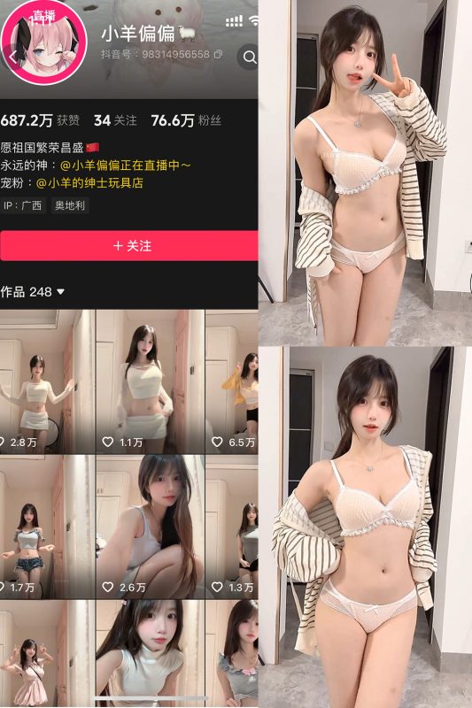 抖音 小羊偏偏 岛遇 NO.005期 【2P3V】-cos领域